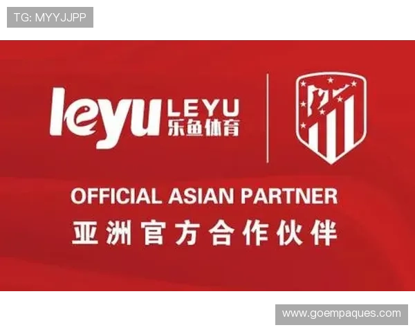 乐鱼体育中国官方网安全保障措施解析,确保用户个人信息和资金安全无忧